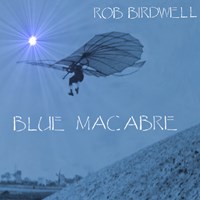 Music: This solo CD release by Rob Birdwell features 10 outstanding original songs.