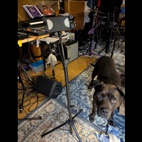 Coco in the studio. She's a sweet girl!