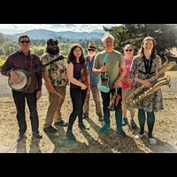 D'Petal Tones at Lumos Winery in September 2025